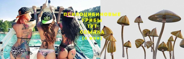 тгк Долгопрудный